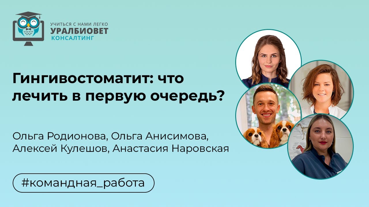 Гингивостоматит: что лечить в первую очередь? А.Кулешов, О.Родионова,  О.Анисимова, А.Наровская — Уралбиовет-консалтинг